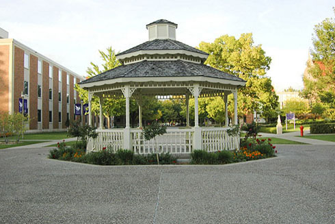 6 Summer Study Spots