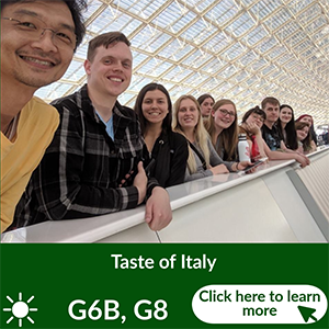 Taste of Italy - Goals 6B & 8 - Summer Program