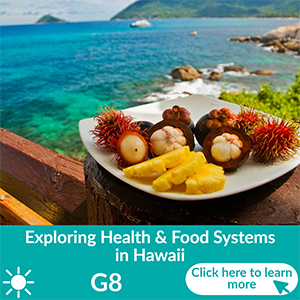 Exploring Health and Food Systems in Hawaii - Summer