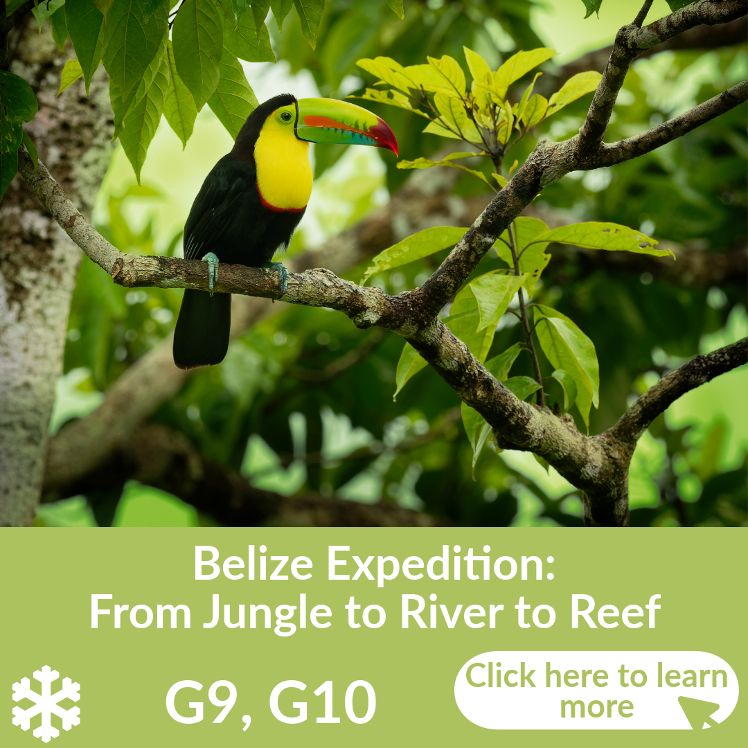 "Belize Expedition: From Jungle to River to Reef" Faculty-Led Travel Study