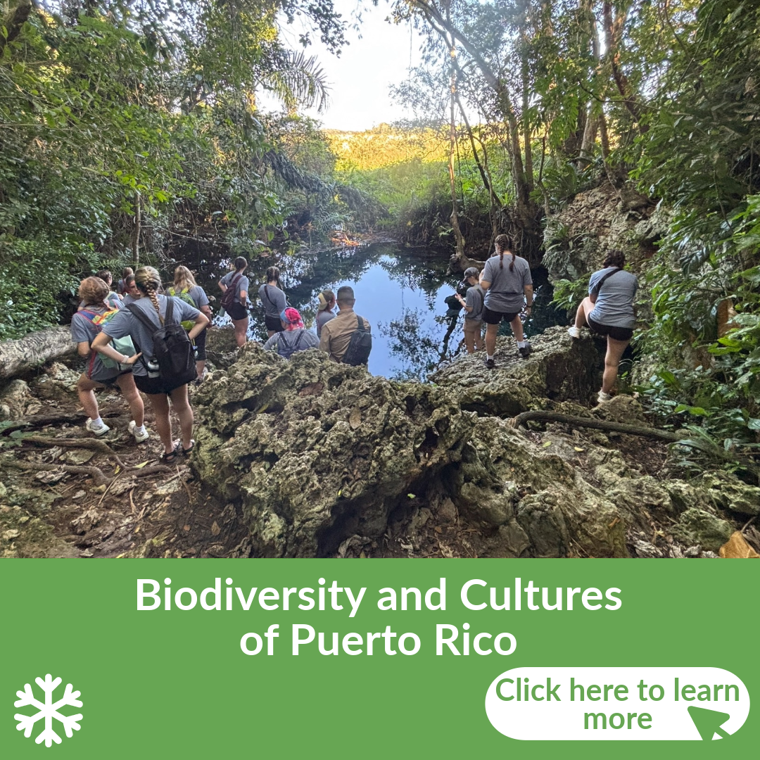 "Biodiversity & Cultures of Puerto Rico" Faculty-Led Travel Program