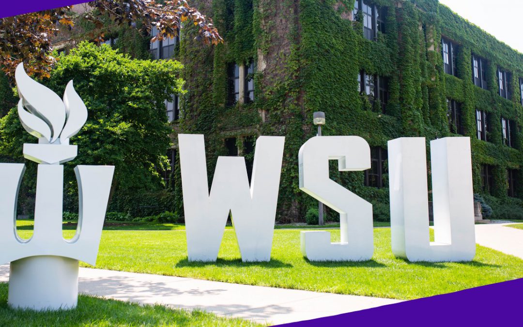 Storytime: Why I Chose WSU