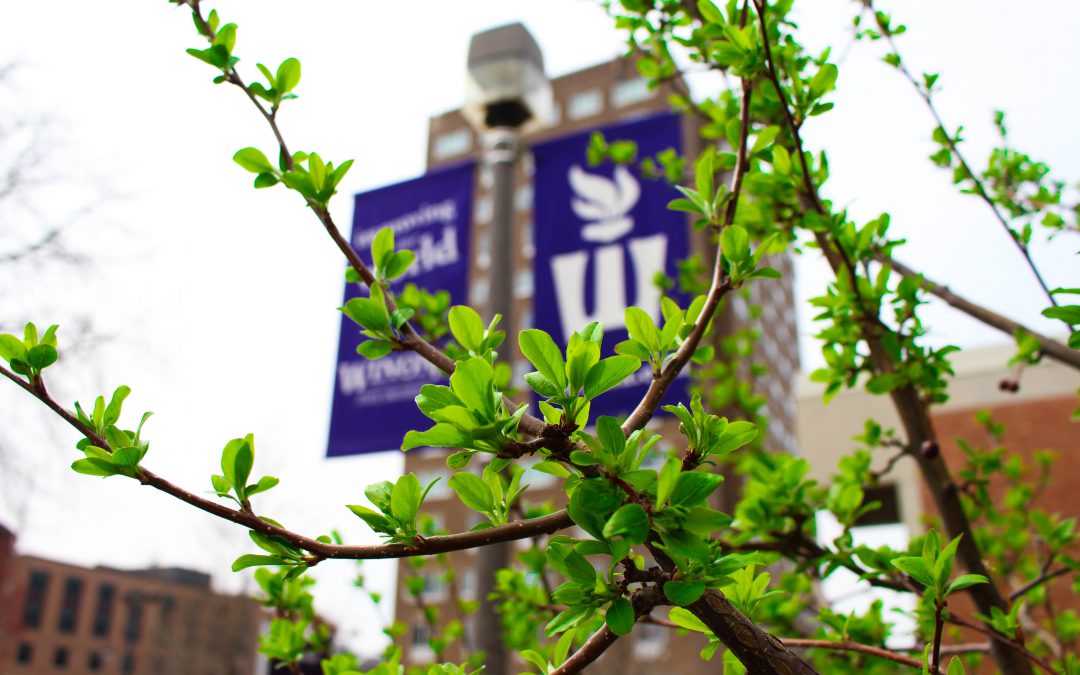 Taking Action to Create Change: Leaning into Wellness at WSU