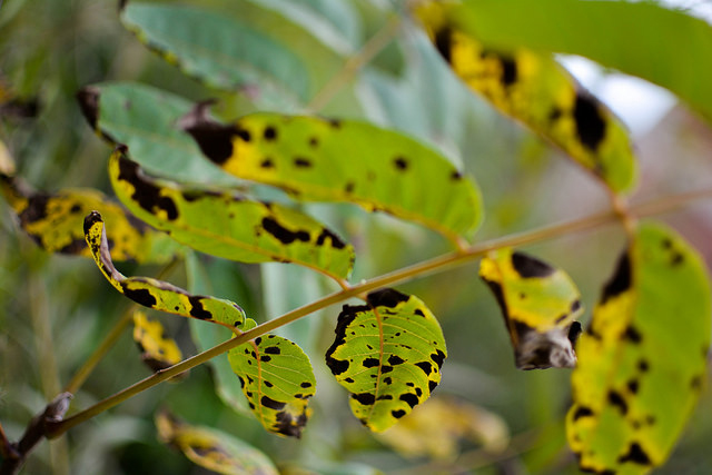 10 Window Plants You Should Be Growing