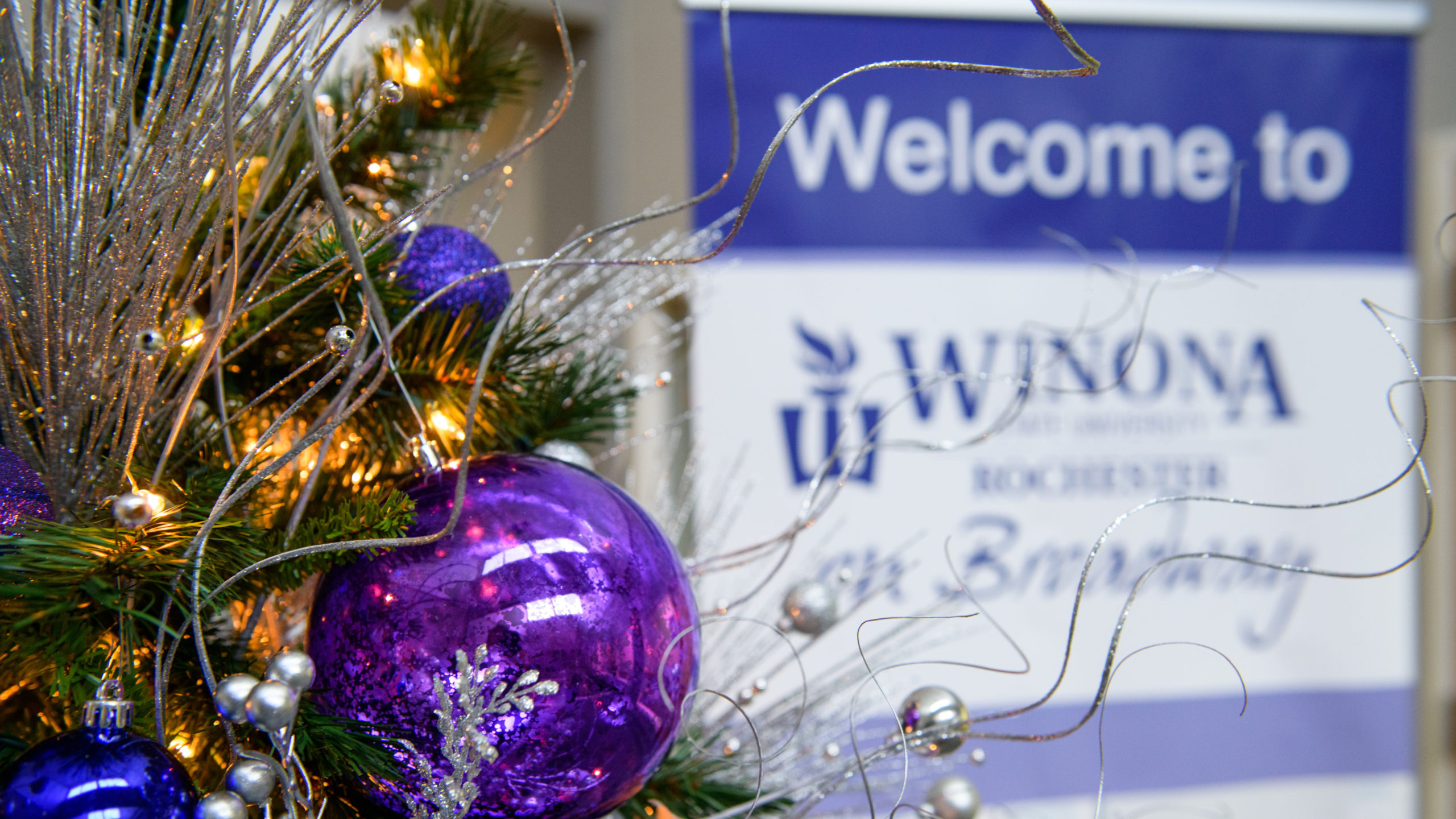 The "Painting the Town Purple" holiday tree is on display at the WSU-Rochester on Broadway campus suite as part of the Festival of Trees